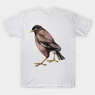 Bird Common Myna T-Shirt